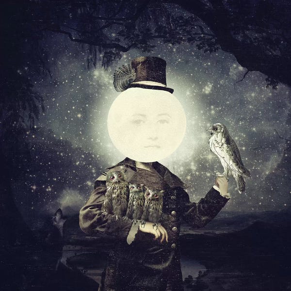 Kids Astronomy & Space Art: Lady Moon by Paula Belle Flores