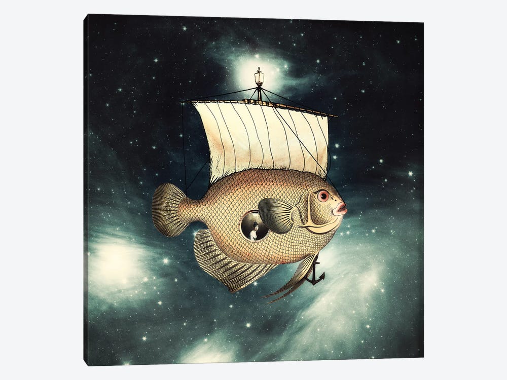 5 Weeks In A Flying Fish by Paula Belle Flores 1-piece Canvas Art Print