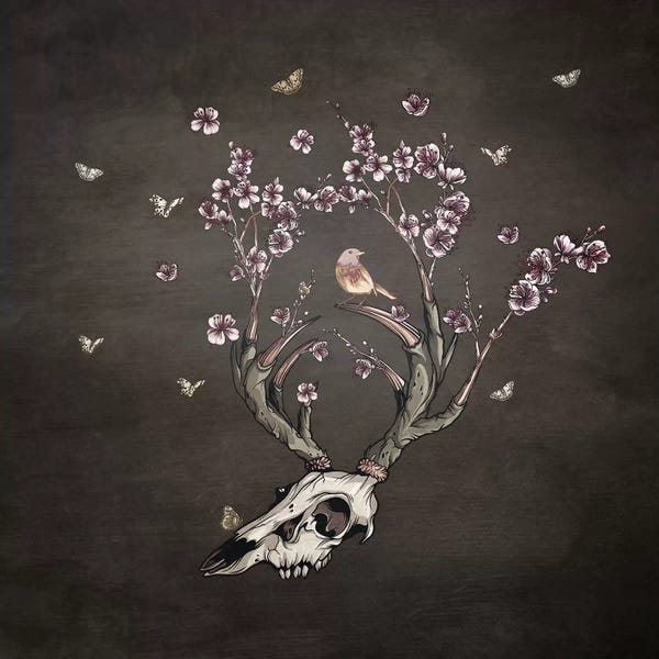 Paula Belle Flores: Life by Paula Belle Flores