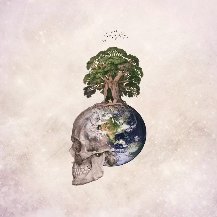 Lost In Space by Paula Belle Flores wall art