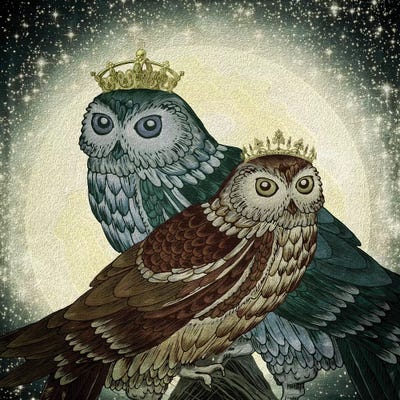 Owls by Paula Belle Flores framed canvas print