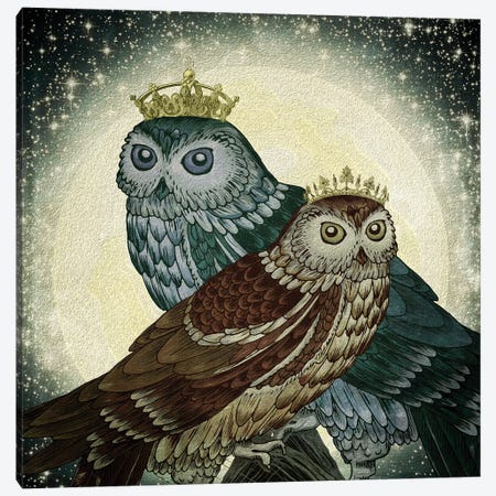 Owls Canvas Print #PBF39} by Paula Belle Flores Canvas Art Print