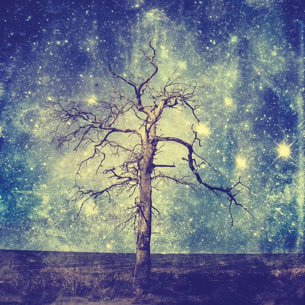 Mesmerizing Digital Artists: As Old As Time by Paula Belle Flores