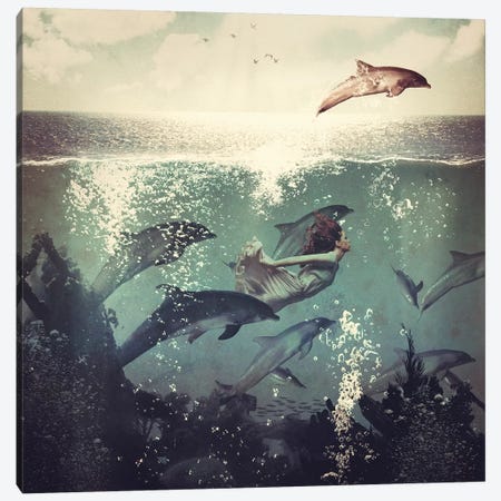 Swimming With My Dolphin Friends Canvas Print #PBF48} by Paula Belle Flores Canvas Art