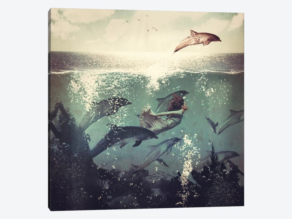 Swimming With My Dolphin Friends by Paula Belle Flores 1-piece Canvas Wall Art