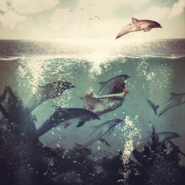 Dolphins: Swimming With My Dolphin Friends by Paula Belle Flores