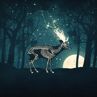 The Forest Of The Lost Souls by Paula Belle Flores framed canvas print