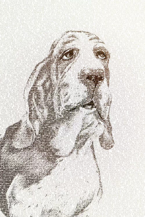 The Intellectual Basset