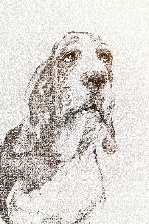 The Intellectual Basset by Paula Belle Flores wall art