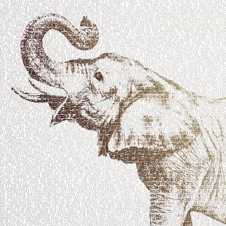 The Intellectual Elephant