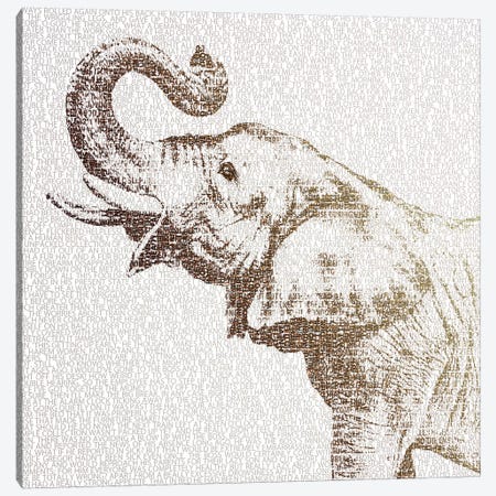 The Intellectual Elephant Canvas Print #PBF57} by Paula Belle Flores Canvas Artwork