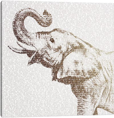 The Intellectual Elephant Canvas Art Print - Paula Belle Flores