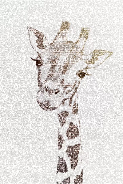 Giraffes: The Intellectual Giraffe by Paula Belle Flores