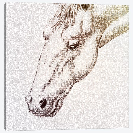 The Intellectual Horse I Canvas Print #PBF59} by Paula Belle Flores Canvas Print