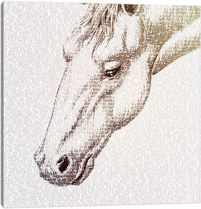The Intellectual Horse I Canvas Art Print - Paula Belle Flores