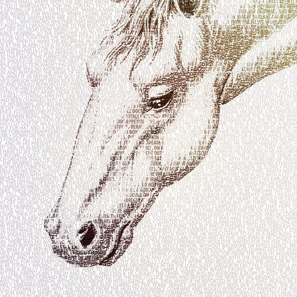 Paula Belle Flores: The Intellectual Horse I by Paula Belle Flores