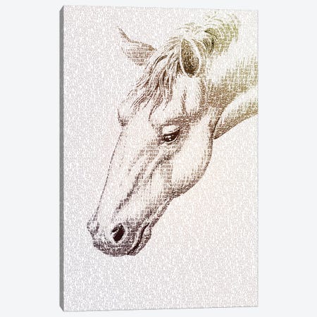 The Intellectual Horse II Canvas Print #PBF60} by Paula Belle Flores Canvas Art