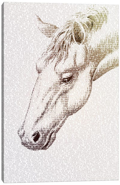 The Intellectual Horse II Canvas Art Print - Paula Belle Flores