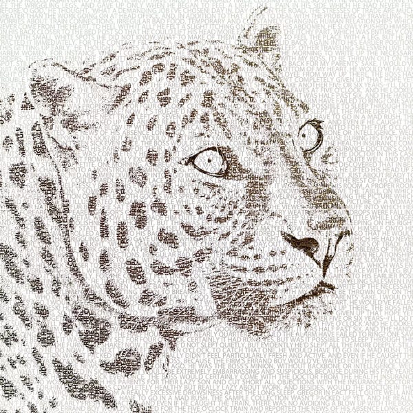 Leopards: The Intellectual Leopard by Paula Belle Flores