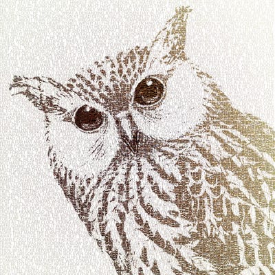 The Intellectual Owl I by Paula Belle Flores canvas print