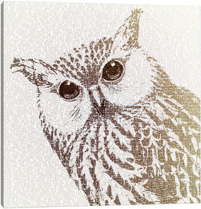 The Intellectual Owl I Canvas Art Print - Paula Belle Flores
