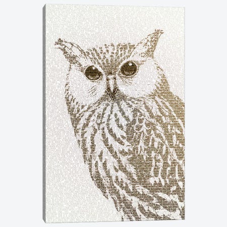 The Intellectual Owl II Canvas Print #PBF64} by Paula Belle Flores Art Print