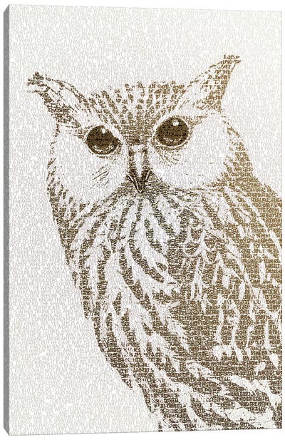 The Intellectual Owl II Canvas Art Print - Paula Belle Flores