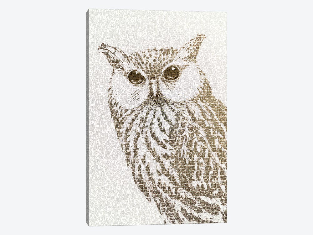 The Intellectual Owl II by Paula Belle Flores 1-piece Canvas Art
