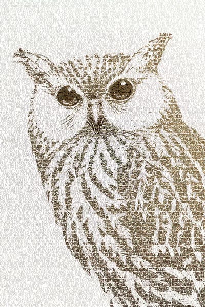 Paula Belle Flores: The Intellectual Owl II by Paula Belle Flores