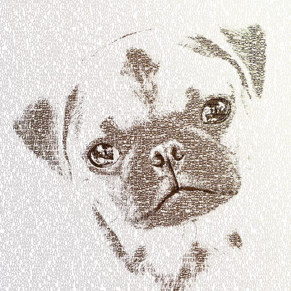 Pugs: The Intellectual Pug by Paula Belle Flores