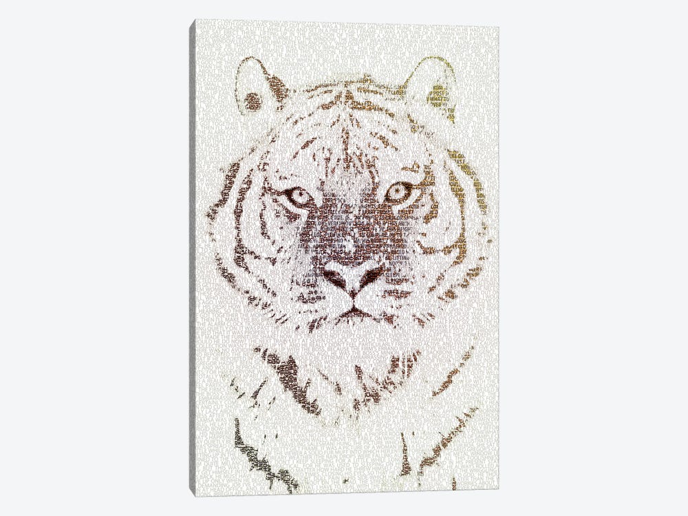 The Intellectual Tiger by Paula Belle Flores 1-piece Canvas Artwork
