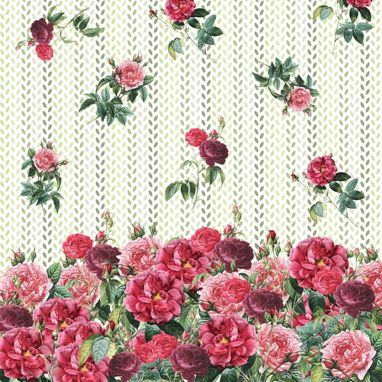 Decorative Vintage Roses by Paula Belle Flores wall art