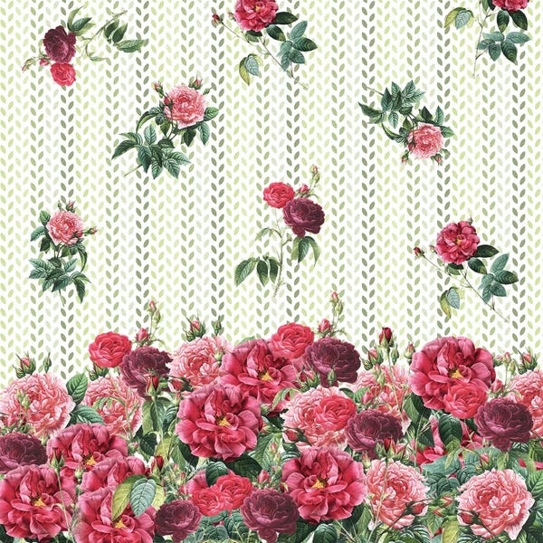 Paula Belle Flores: Decorative Vintage Roses by Paula Belle Flores