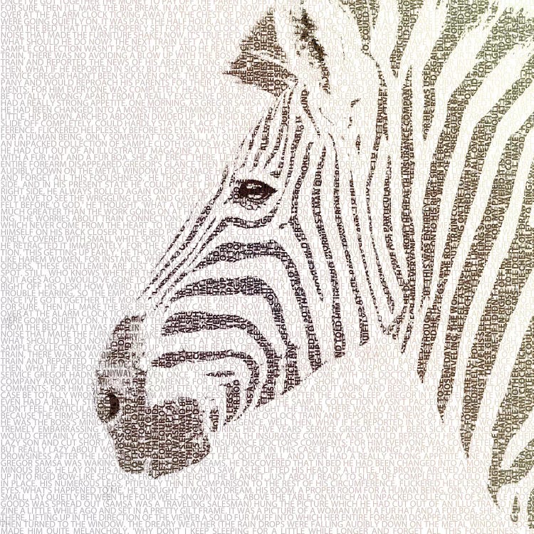 The Intellectual Zebra