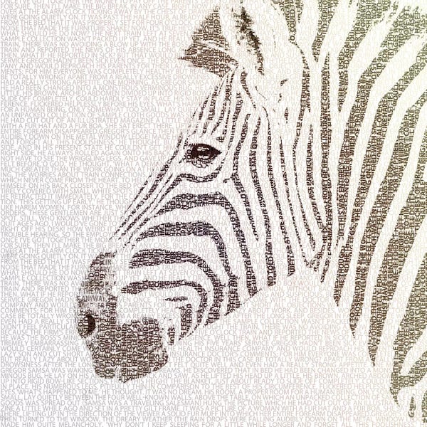 Zebras: The Intellectual Zebra by Paula Belle Flores