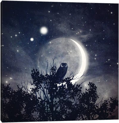 The Moon, Venus, & Jupiter Canvas Art Print - Night Sky Art