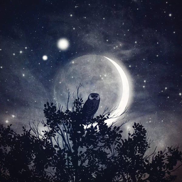 Night Sky: The Moon, Venus, & Jupiter by Paula Belle Flores