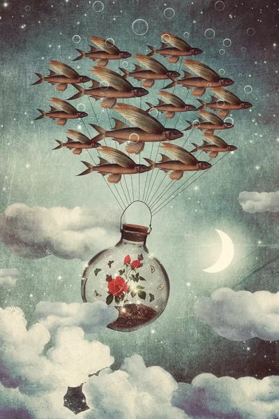 Kids Ocean Life Art: The Rose That Wanted To See The World by Paula Belle Flores