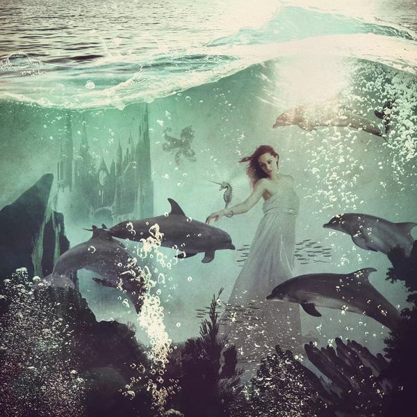 Dolphins: The Sea Unicorn Lady by Paula Belle Flores