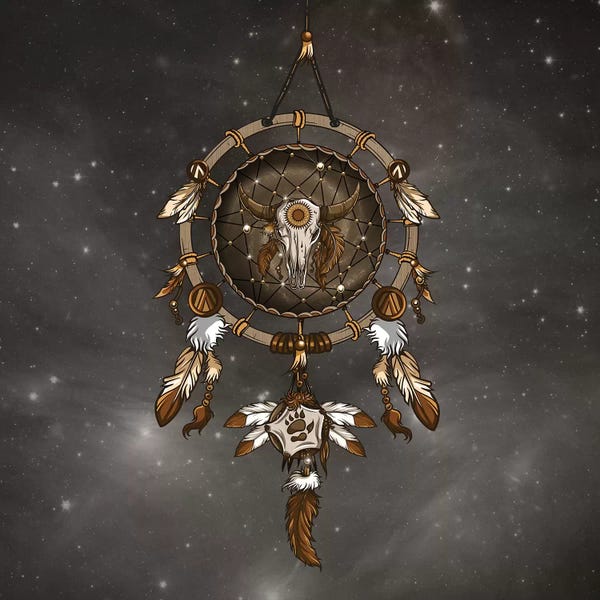 Dreamcatchers: Dream Catcher by Paula Belle Flores