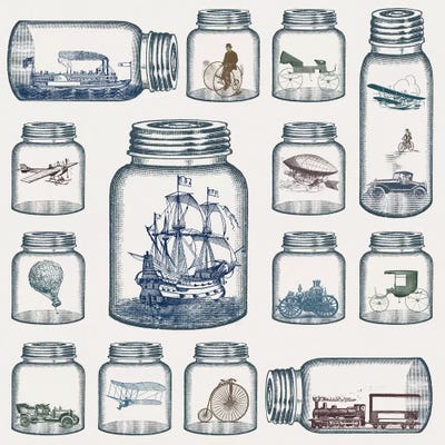 Vintage Preservation by Paula Belle Flores framed canvas print