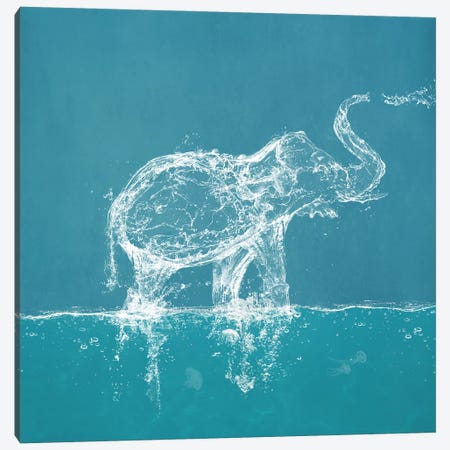 Water Elephant Canvas Print #PBF84} by Paula Belle Flores Canvas Art Print