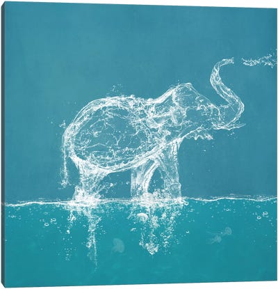 Water Elephant Canvas Art Print - Elephant Art