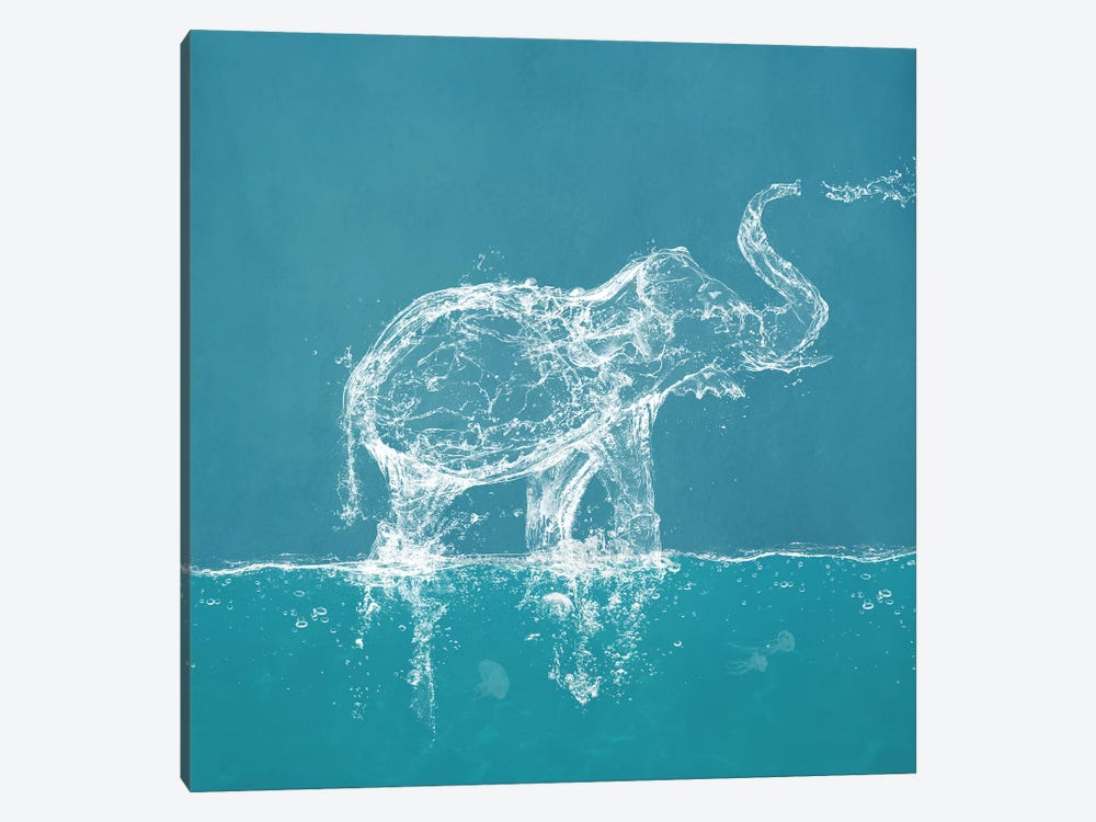 Water Elephant by Paula Belle Flores 1-piece Canvas Artwork