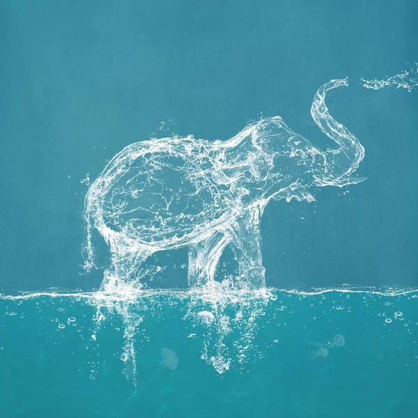 Paula Belle Flores: Water Elephant by Paula Belle Flores