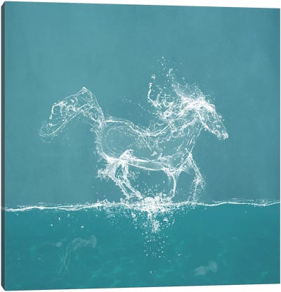 Water Horse Canvas Art Print - Turquoise Art