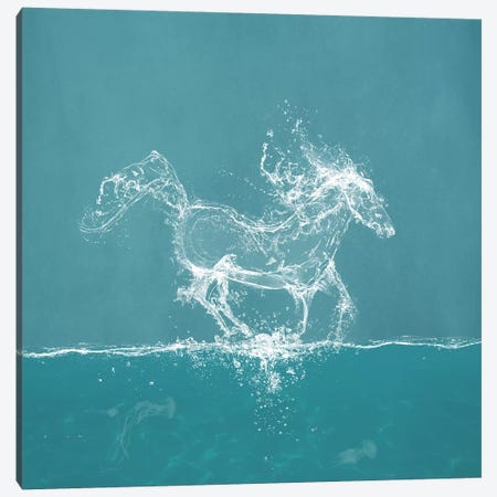 Water Horse Canvas Print #PBF85} by Paula Belle Flores Art Print