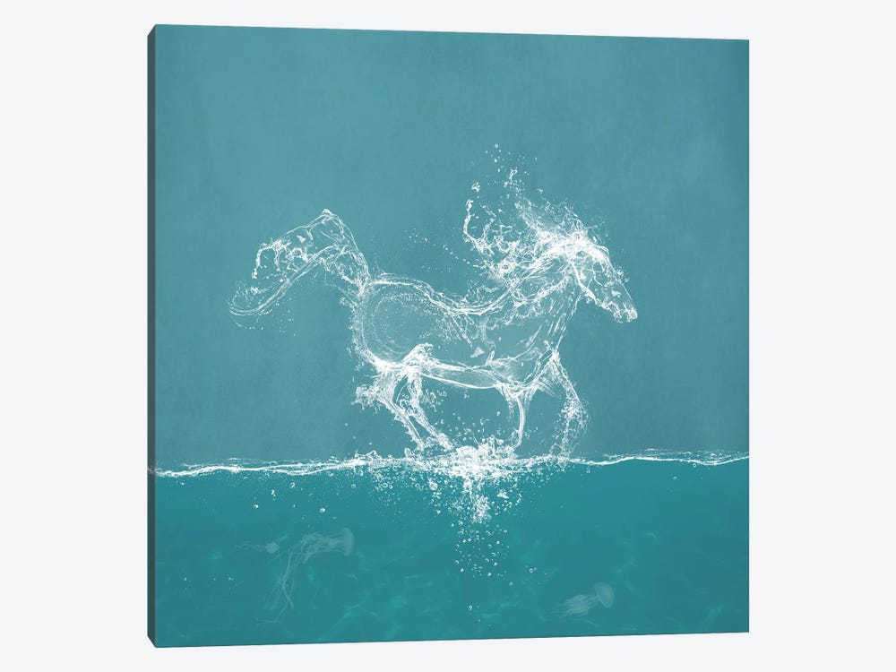Water Horse by Paula Belle Flores 1-piece Canvas Print
