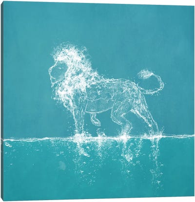 Water Lion Canvas Art Print