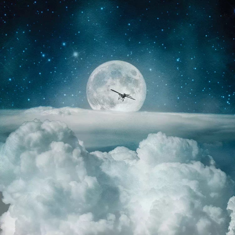 Fly Me To The Moon Toight by Paula Belle Flores wall art